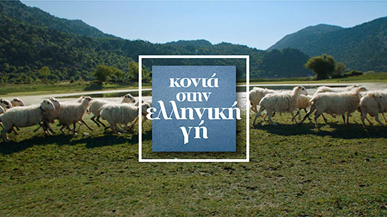 Σεζόν 2018 - 2019