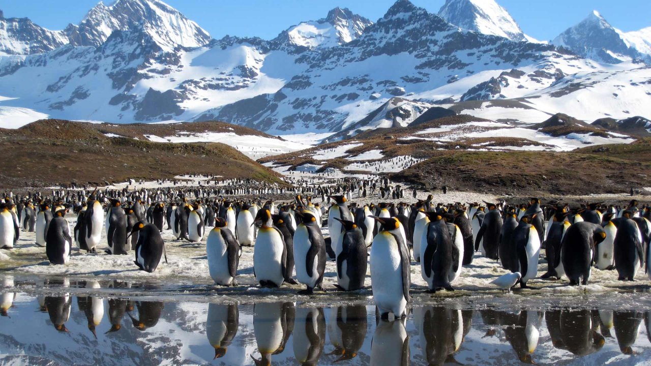 Frozen Planet: Summer
