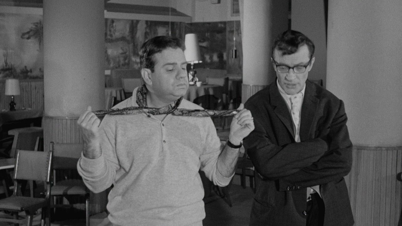 Η Κοροϊδάρα