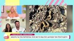 Ο Ηλίας Δρούλιας και η σύντροφος του Μαρία Μπιμπή μιλούν για την περιπέτεια τους με το φίδι στη Μύκονο