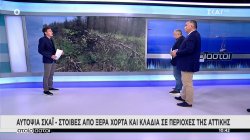 Αυτοψία ΣΚΑΪ: Στοίβες από ξερά χόρτα και κλαδιά σε περιοχές της Αττικής