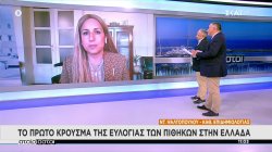 Το πρώτο κρούσμα της ευλογιάς των πιθήκων στην Ελλάδα 