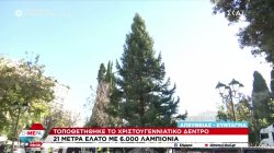 Στην πλατεία Συντάγματος το 21 μέτρων χριστουγεννιάτικο δέντρο από το Καρπενήσι 