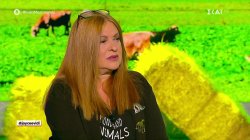  Η Τζόις Ευείδη στο Καλό Μεσημεράκι 