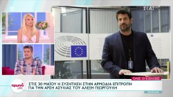 Στις 30 Μαΐου η συζήτηση στην αρμόδια επιτροπή για την άρση ασυλίας του Αλέξη Γεωργούλη 