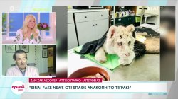 Ζαν Ζακ Λεσουέρ: 