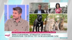 Φρίκη στον Βύρωνα: Ασυνείδητος χρησιμοποιεί τον σκύλο του για να δολοφονεί γάτες 