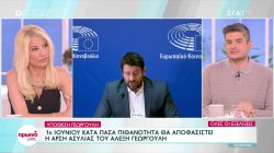 1η Ιουνίου κατά πάσα πιθανότητα θα αποφασιστεί η άρση ασυλίας του Αλέξη Γεωργούλη 