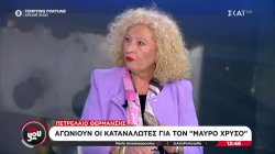 Μαρία Ζάγκα: Με τα σημερινά δεδομένα το πετρέλαιο θέρμανσης πρέπει να κινηθεί στο 1,10 - 1,15 ευρώ