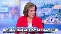  Ντόρα Μπακογιάννη: Wok ατζέντα στην Ελλάδα δεν υπάρχει 