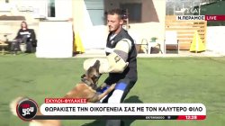 Σκύλοι-φύλακες: Θωρακίστε την οικογένειά σας με τον καλύτερο φίλο 