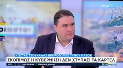 Κ. Τσουκαλάς: «Σκοπίμως η κυβέρνηση δεν χτυπάει τα καρτέλ» 