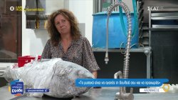  Από την κρίση στην επιτυχία: Η ιστορία της Alelma