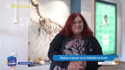 Αλόννησος: Άκαρπες οι έρευνες για τον δολοφόνο του Κωστή, της φώκιας που υπήρξε μασκότ του νησιού