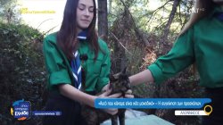 Αλόννησος: Οι εθελοντικές δράσεις των προσκόπων στο νησί - Δράση για τις αδέσποτες γάτες