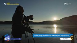 Λίμνη της Καστορίας: Ένα καταφύγιο για 245 είδη πουλιών - Τι κάνουμε αν συναντήσουμε αρκούδα: Συμβουλές από ειδικούς