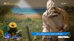 Η Μελισσοκομική Δωδεκανήσου συνεργάζεται με πάνω από 70 μελισσοκόμους 