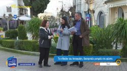 Το πλατάνι του Ιπποκράτη στην Κω, διατηρητέο μνημείο της φύσης 