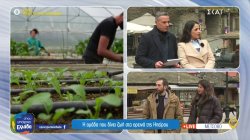 Η ομάδα που βοηθά και δίνει ζωή στα ορεινά της Ηπείρου 