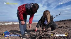 Κρασιά και αμπέλια Σαντορίνης: Μία ιστορία επιτυχίας με αγωνία για το μέλλον 