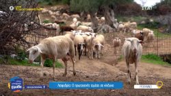 Ρέθυμνο - Λειψυδρία: Ο πρωτογενής τομέας σε κίνδυνο