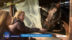 Εύβοια: Μια ημέρα στη φάρμα με αμέτρητες δραστηριότητες 