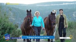 Το καταφύγιο Rancheros στην Αγία Άννα - Μια δεύτερη ευκαιρία ζωής για εγκαταλελειμμένα ιπποειδή