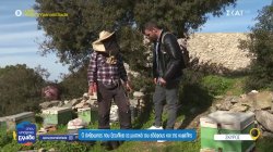 Σκύρος: Ο άνθρωπος που ξετυλίγει τα μυστικά του εδάφους και της κυψέλης 