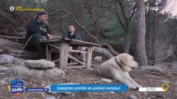 Σκύρος: Πεζοπορικές διαδρομές μέσα στη φύση και την παράδοση 