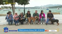 Η φιλοζωική «PAWS» που παλεύει για το καλό των ζώων στις περιοχές του Γαλατά και του Πόρου 