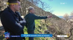 Από τη χρυσοχοΐα στα μονοπάτια της Στεμνίτσας ως οδηγός για πεζοπορίες 