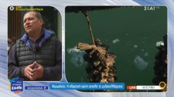 Θερμαϊκός: Η κλιματική αλλαγή απειλεί την μυδοκαλλιέργεια 