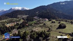 Νέα ζωή στις πλαγιές του Ερύμανθου - Η δεύτερη ευκαιρία ενός όμορφου τόπου