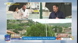 Ναύπακτος: Αγώνας δρόμου για τα άρρωστα πλατάνια της περιοχής 