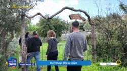  Ανωγή-Κιόνι: Η διαδρομή πεζοπορίας που ενώνει το βουνό με την θάλασσα