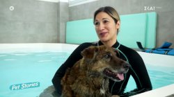 Η υδροθεραπεία και τα οφέλη της στα ζώα 