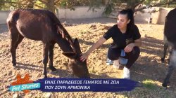 Ένας παράδεισος γεμάτος με ζώα που ζουν αρμονικά 