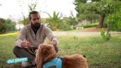 Πως να εκπαιδεύσετε τον σκύλο σας να μη 