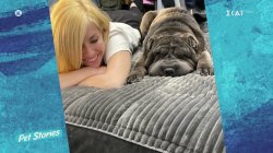 Η Μαρία Αναστασοπούλου μιλά για την απώλεια του αγαπημένου της σκύλου, Σωτήρη 