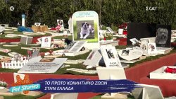 Το πρώτο κοιμητήριο ζώων στην Ελλάδα 