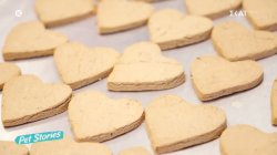 Πως να φτιάξετε νόστιμες λιχουδιές για τα σκυλάκια σας 