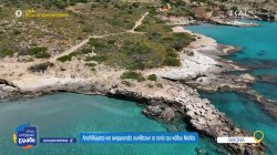 Απολιθώματα και αναρριχητές συνθέτουν το τοπίο του κάβου Μαλέα