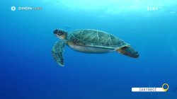 Όπου Υπάρχει Ελλάδα | Ζάκυνθος - Trailer | 16/05/2025