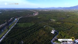 Όπου Υπάρχει Ελλάδα | Σπάρτη - Trailer | 26/05/2025