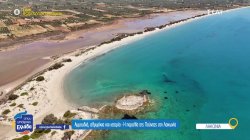 Αμμουδιά, αλμυρίκια και ιστορία - Η παραλία της Πούντα στη Λακωνία 