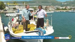 Λεοντόψαρο, πλαστικά και άλλοι εχθροί του βυθού