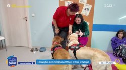 Θεραπευτικοί σκύλοι στο πλευρό ασθενών και ατόμων με αναπηρία στην Καλαμαριά 