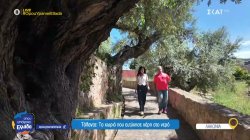 Τάλαντα: Το χωριό που ευτύχησε χάρη στο νερό