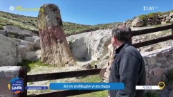 Το Απολιθωμένο Δάσος της Λέσβου μιλά για το μέλλον του πλανήτη 