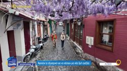 Λέσβος: Άφησαν το εξωτερικό για να χτίσουν μια νέα ζωή ευεξίας